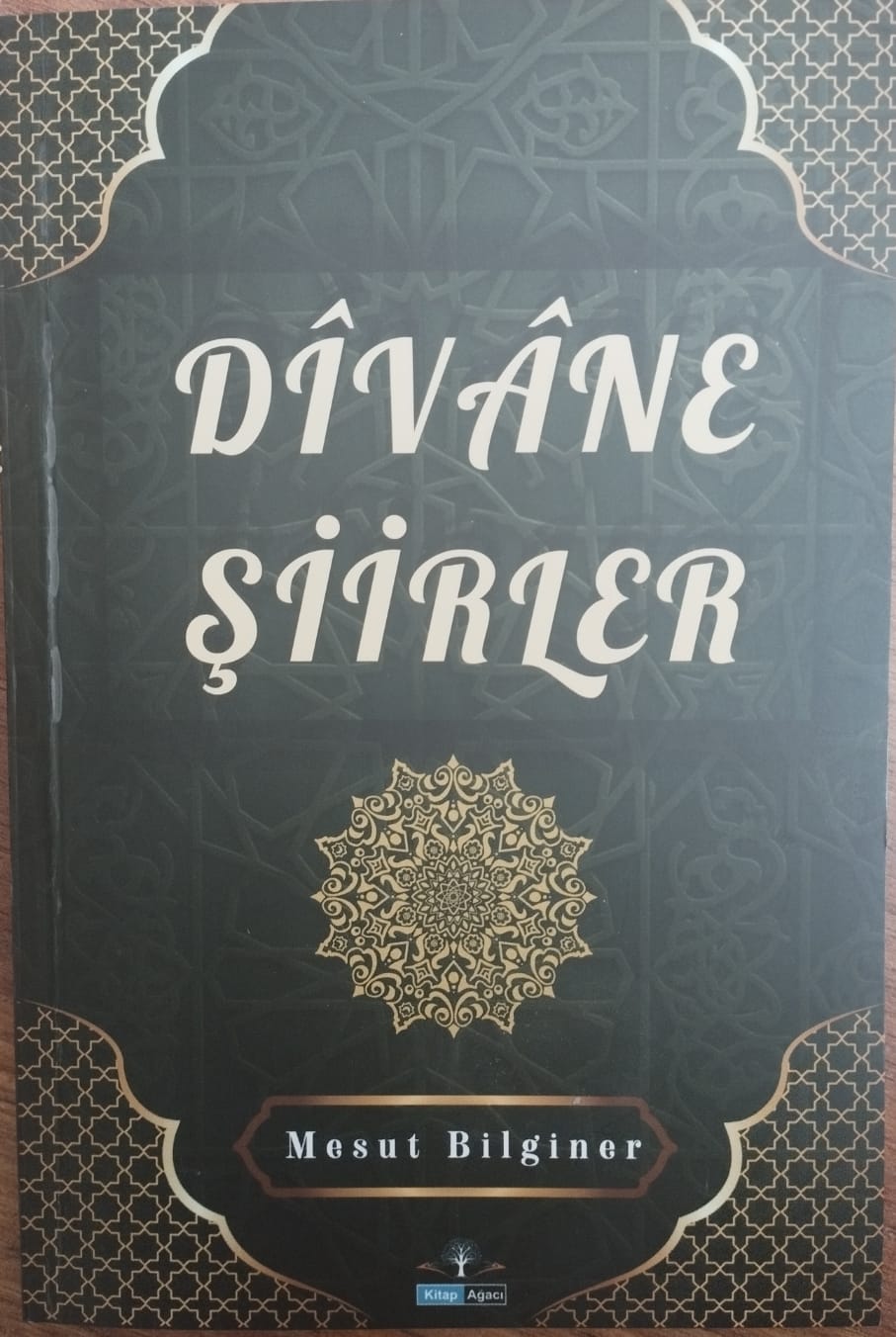 ALİ AVGIN YAZDI: MESUT BİLGİNER’İN “DÎVÂNE ŞİİRLER” KİTABI ÜZERİNE BİR HASBİHAL