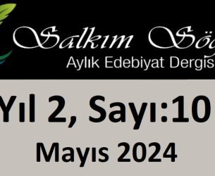 Salkım Söğüt Edebiyat Dergisi 10. Sayı