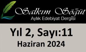 Salkım Söğüt Edebiyat Dergisi 11. Sayı