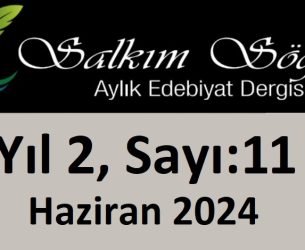 Salkım Söğüt Edebiyat Dergisi 11. Sayı
