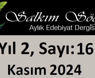 Salkım Söğüt Edebiyat Dergisi 16. Sayı