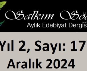 Salkım Söğüt Edebiyat Dergisi 17. Sayı