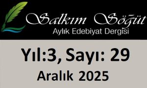 Salkım Söğüt Edebiyat Dergisi 29. Sayı