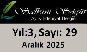Salkım Söğüt Edebiyat Dergisi 29. Sayı