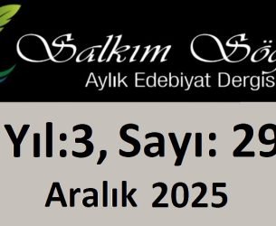 Salkım Söğüt Edebiyat Dergisi 29. Sayı