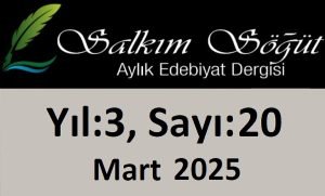 Salkım Söğüt Edebiyat Dergisi 20. Sayı