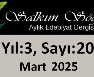 Salkım Söğüt Edebiyat Dergisi 20. Sayı