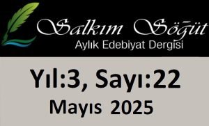 Salkım Söğüt Edebiyat Dergisi 22. Sayı