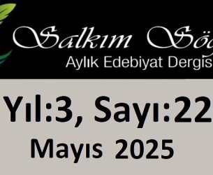 Salkım Söğüt Edebiyat Dergisi 22. Sayı