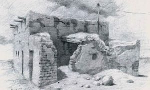 Kar Kokusu
