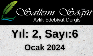 Salkım Söğüt Edebiyat Dergisi 6. Sayı