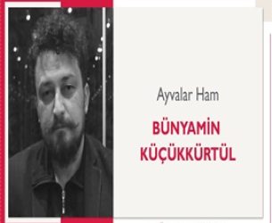Ayvalar Ham | Bünyamin Küçükkürtül