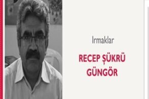 Irmaklar | Recep Şükrü Güngör