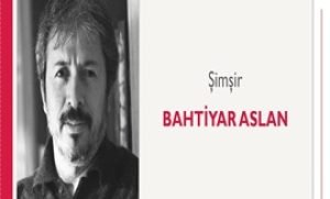 Şimşir | Bahtiyar Aslan