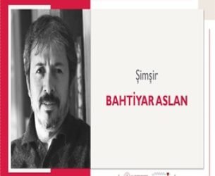 Şimşir | Bahtiyar Aslan